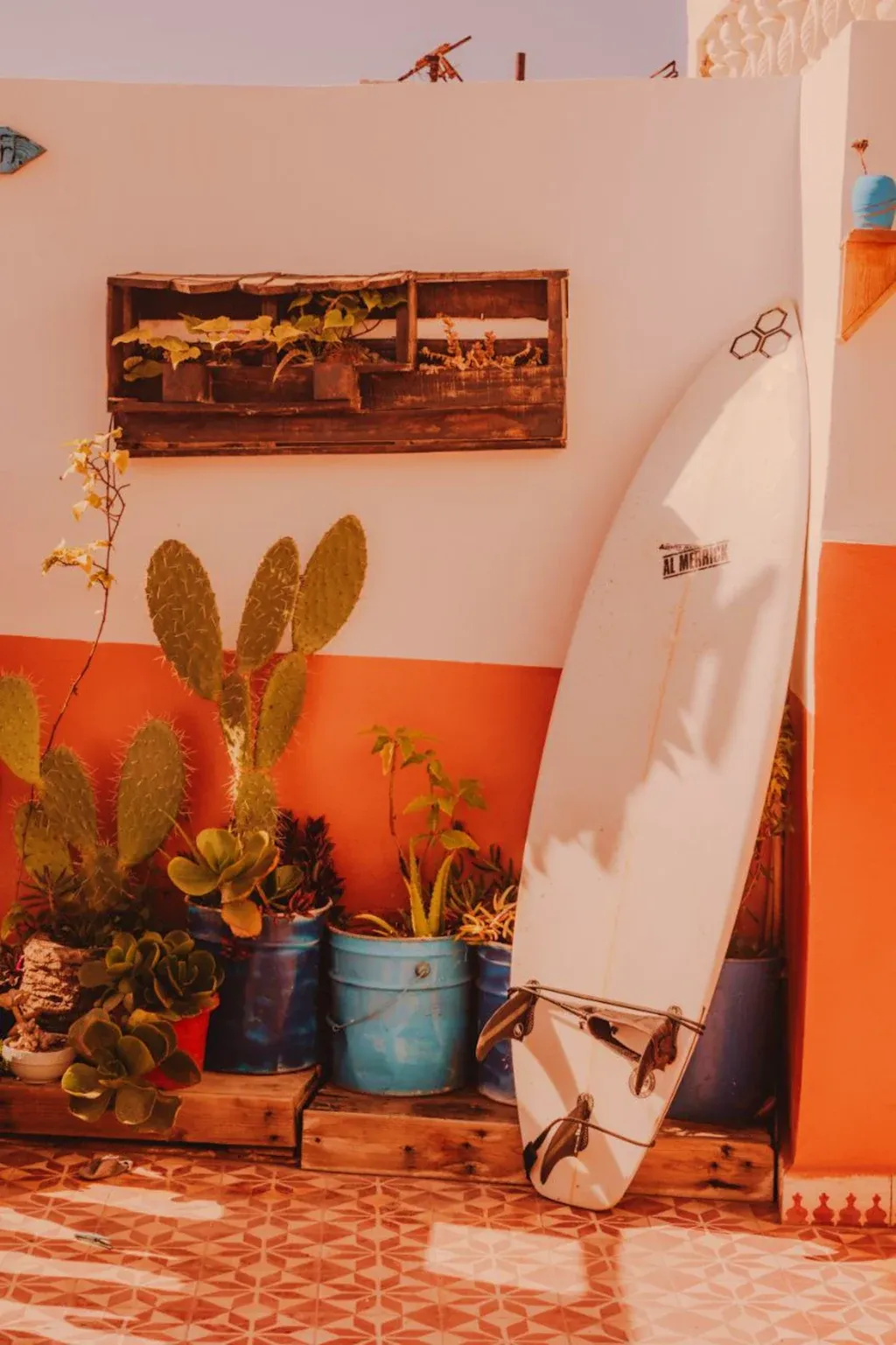 Surfboard and cactus corner